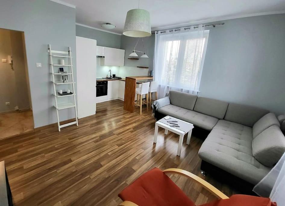 Ogrody * Wi-Fi * Jezyce * 3 Km Center Apartment Poznan Exterior photo